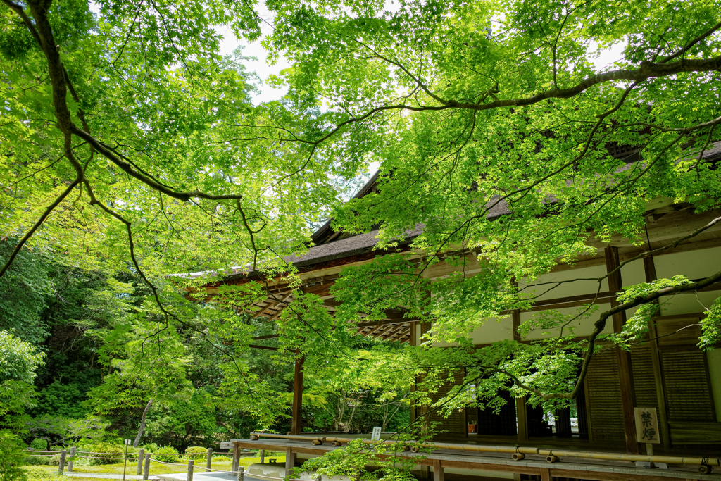 南禅院