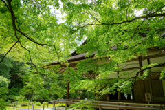 南禅院