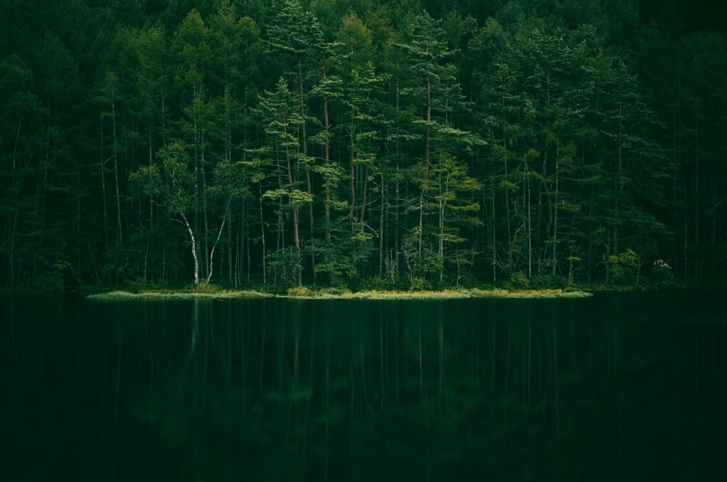 深遠な池