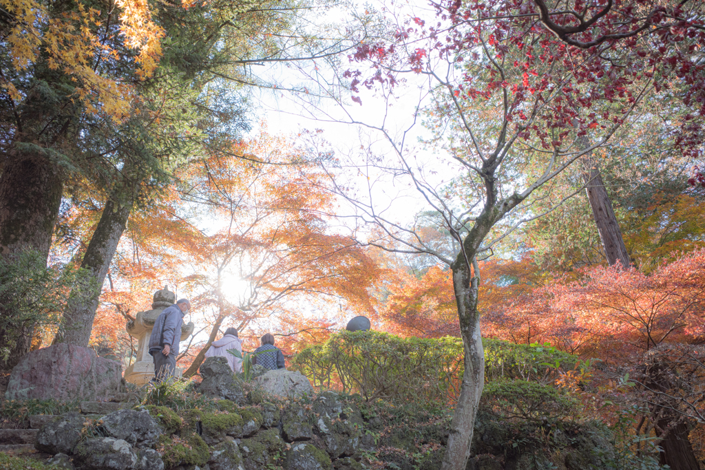 徳明園
