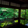 緑の部屋