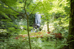 赤橋と滝