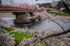 春の架け橋
