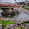 春の架け橋