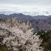アルプス展望台
