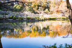 今年も宜しくお願いします