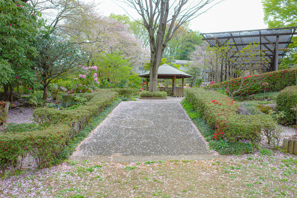 花びらロード