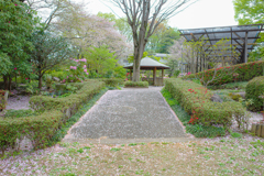 花びらロード