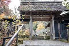 三門