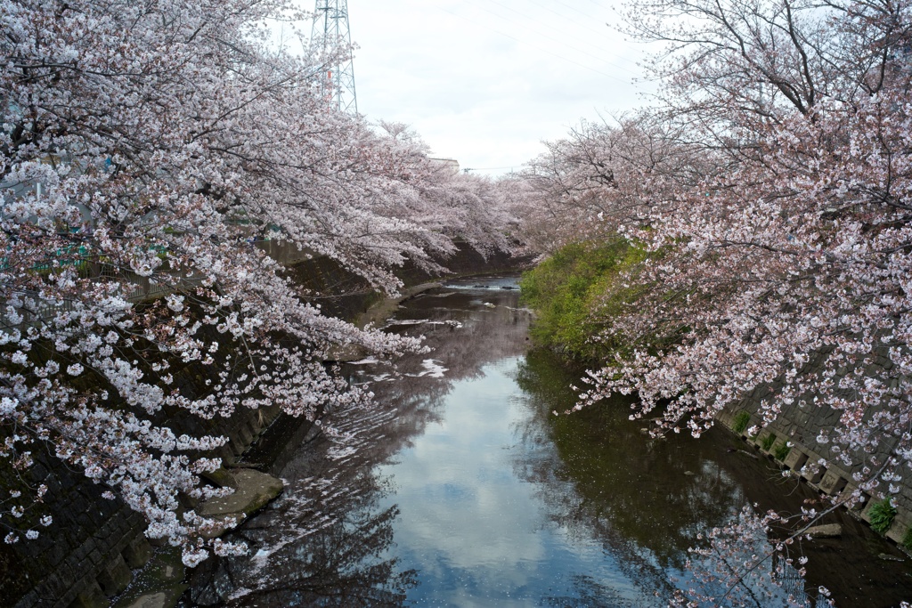 静かなる川の流れ