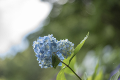 束の間の日差し