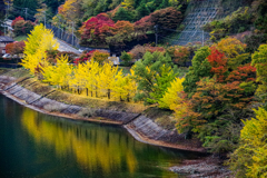 丹沢湖西