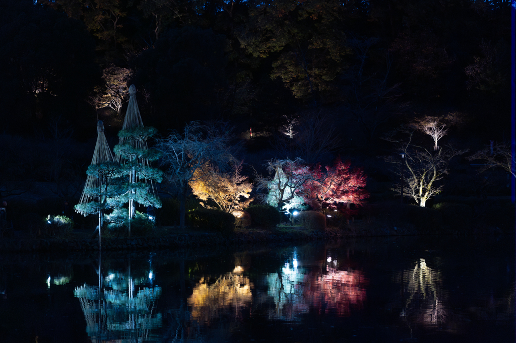 夜のカラー