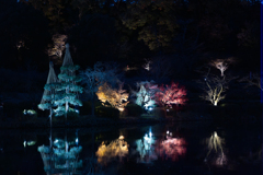 夜のカラー
