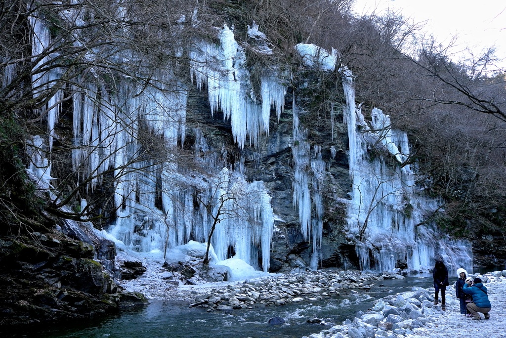 多くの氷柱