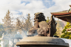 狛犬ポートレート