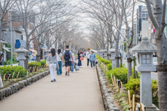 若宮大路