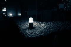 夜の庭