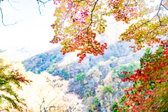 ハイキーな山紅葉
