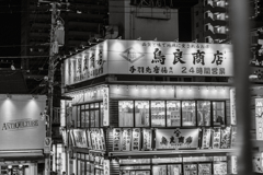 冬を照らす