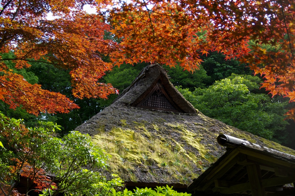 季節感の無い風景