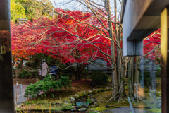 紅の庭園