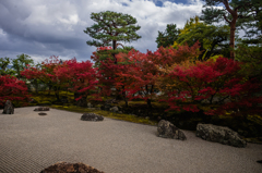 紅の庭園