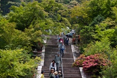 登り口