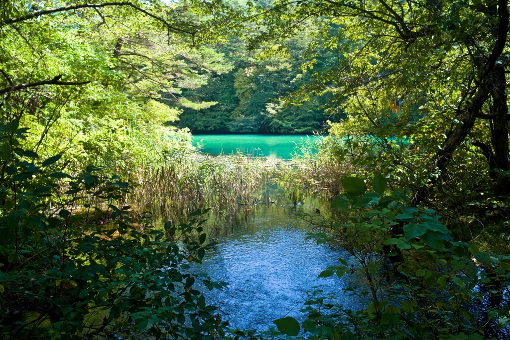 湧き水
