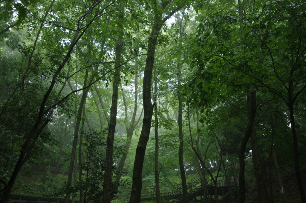 雨から守るもの