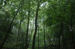 雨から守るもの