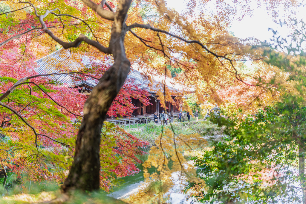 回遊式庭園
