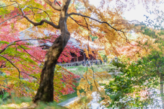 回遊式庭園