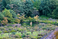 薬師池俯瞰