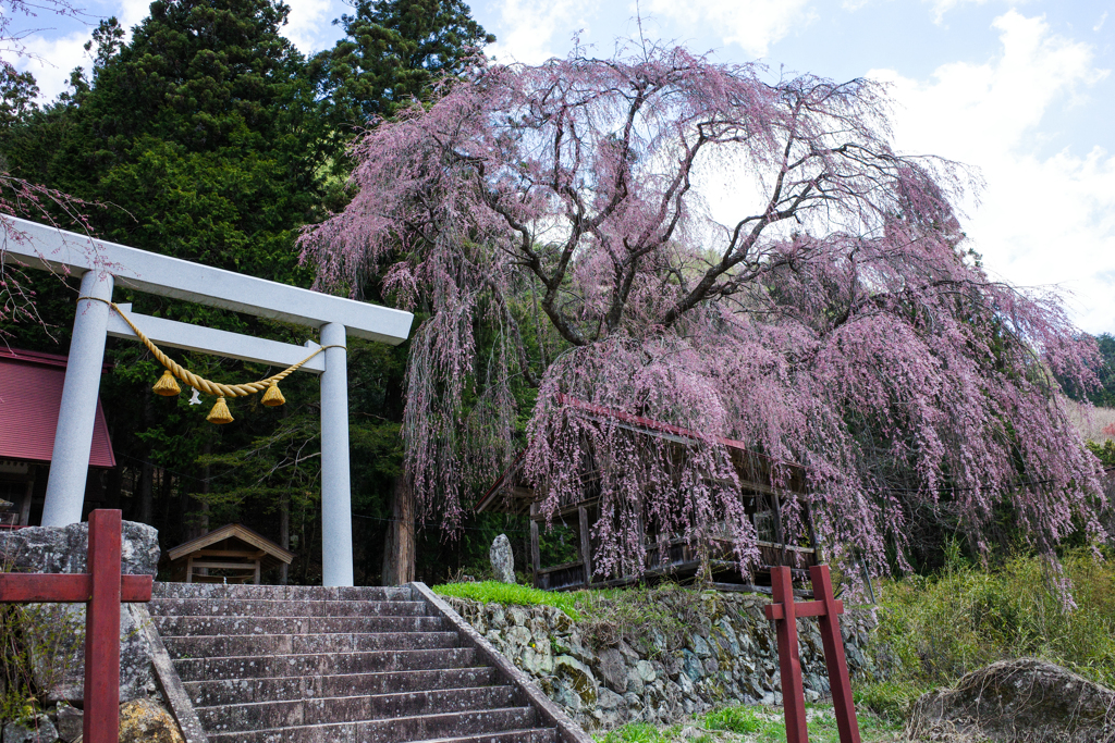 浅井神明神社