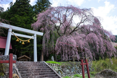 浅井神明神社
