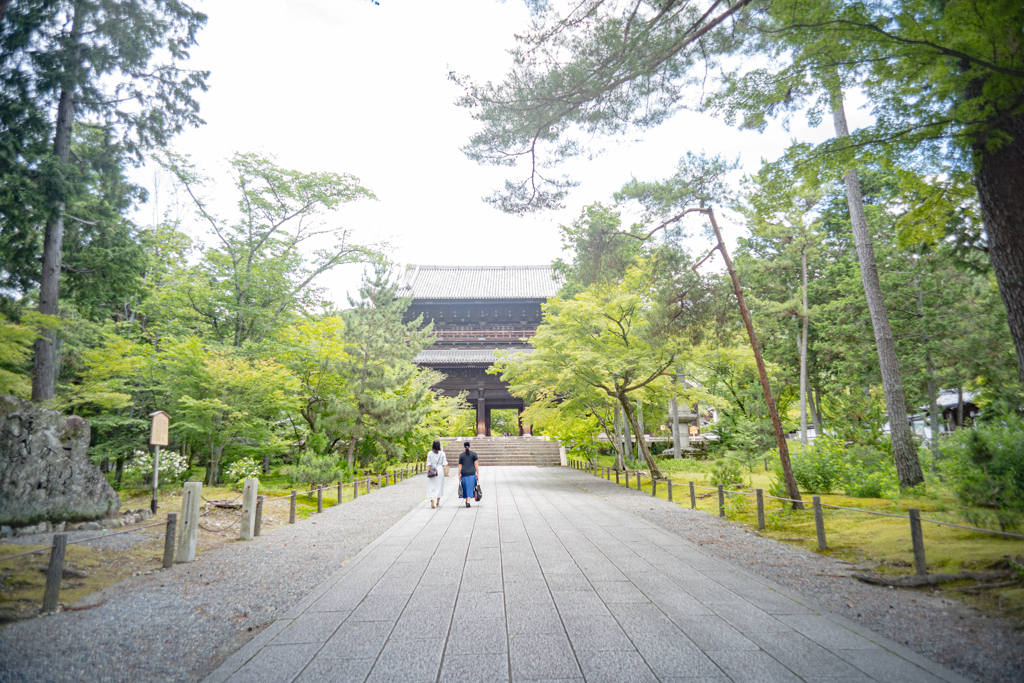 雨の三門