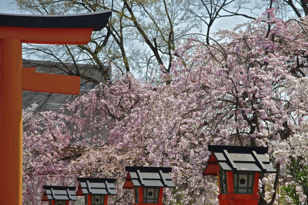 平野神社