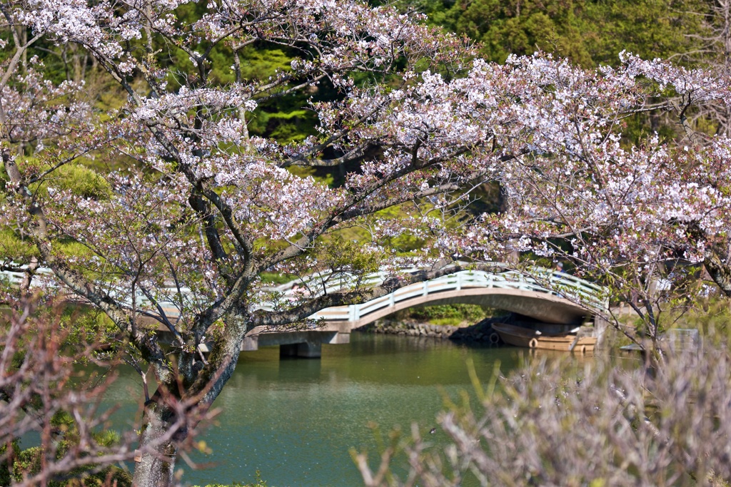 春に架かる