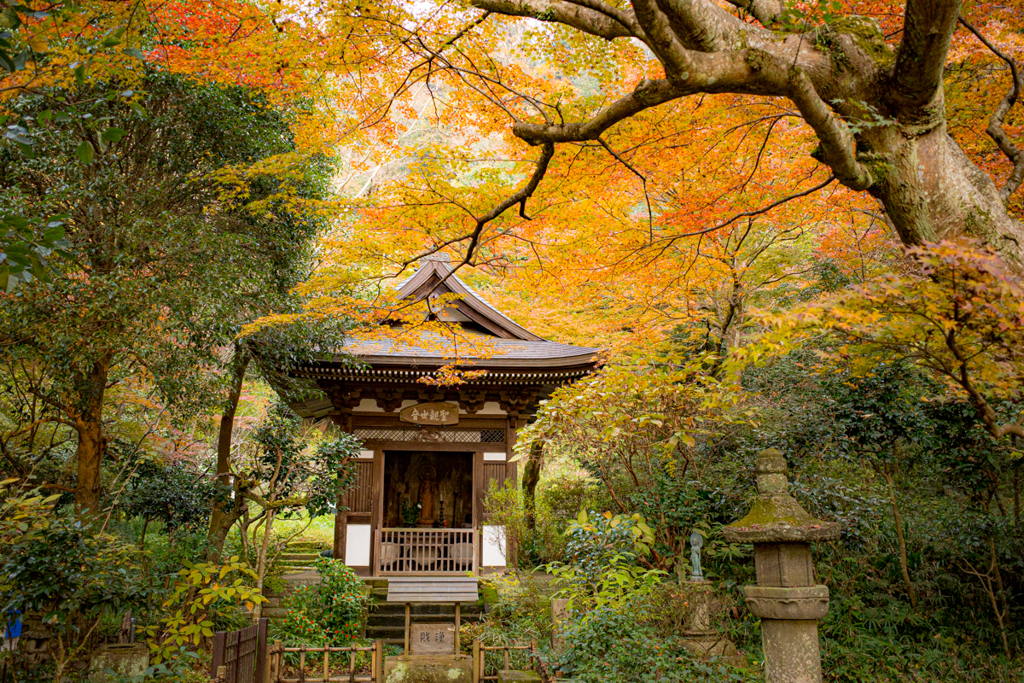 黄梅院