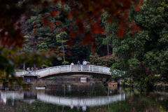 紅葉の暖簾越し