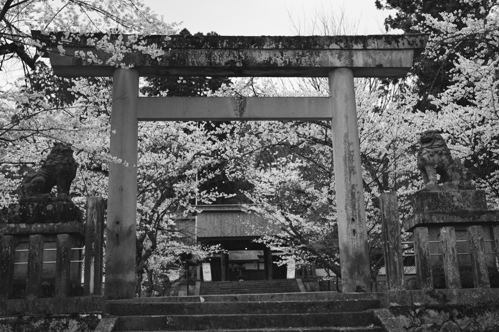 飛騨護国神社