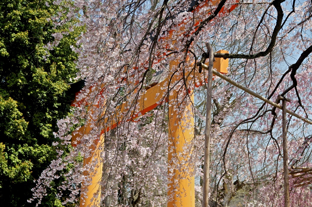 平野神社