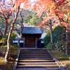 居士林
