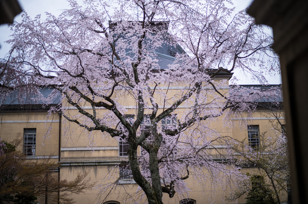京都府庁旧本館