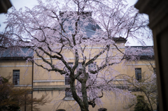 京都府庁旧本館