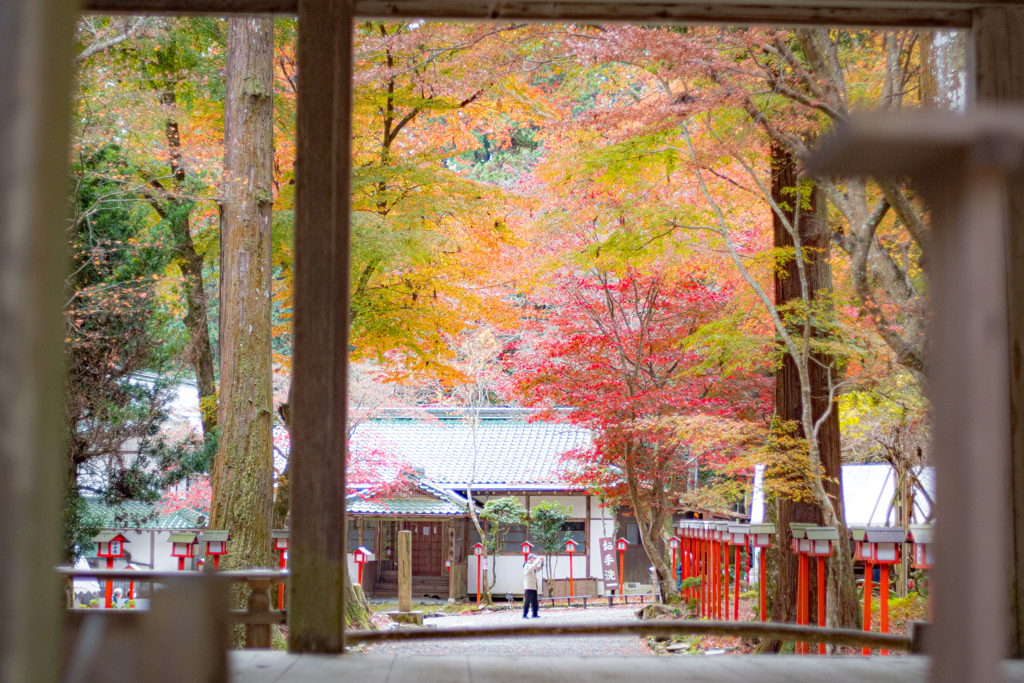 紅葉の社