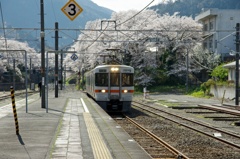 桜トンネルから