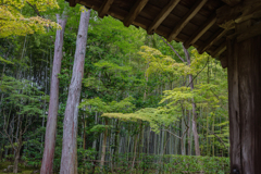 もうすぐ公開