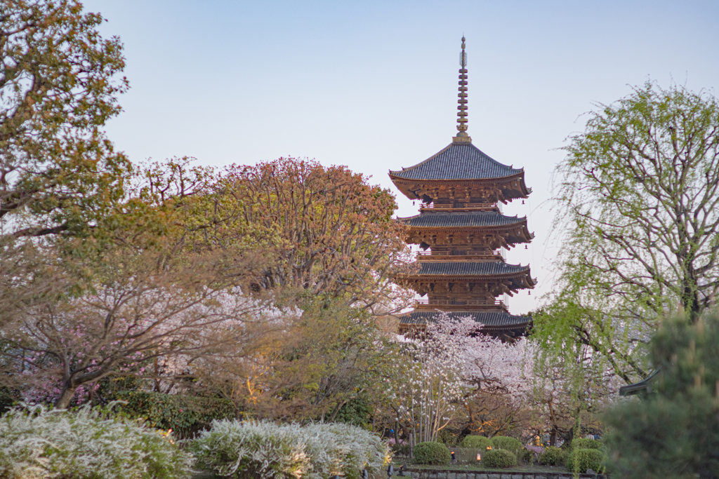 東寺定番の図